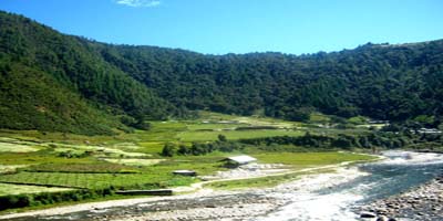 Arunachal P