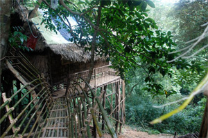 Know Why Mawlynnong in Meghalaya is Cleanest Village in Asia