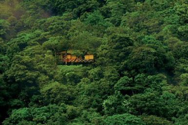 Vythiri-Resort-tree-house (1)