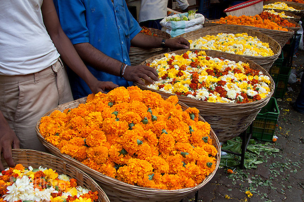 mumbai flower market in dadra. cheap flights to mumbai