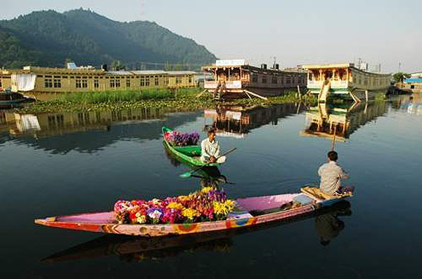 picture of kashmir flower market, cheap airfare to kashmir, 