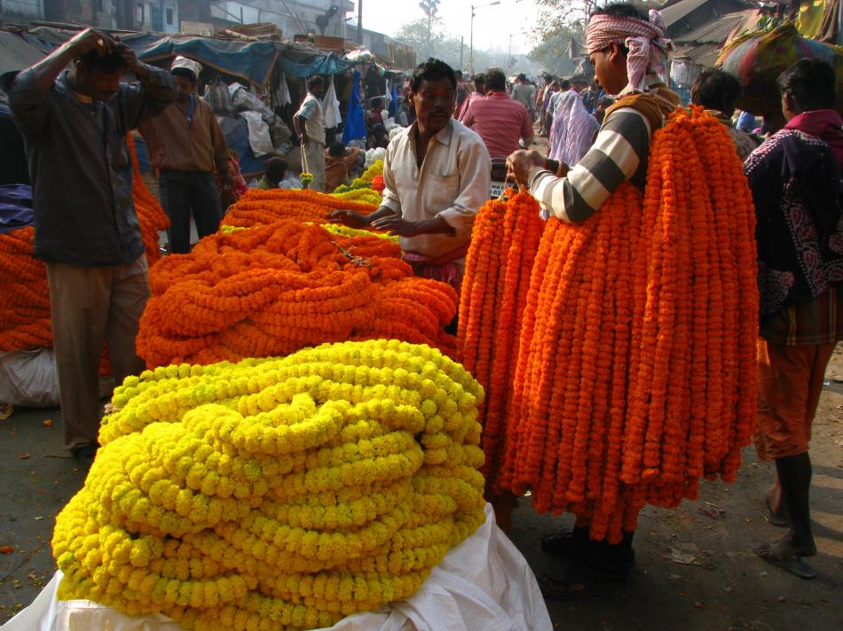 Kolkata mullik ghat flower market details, cheapest flights to Kolkata