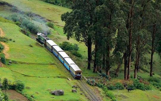 weekend getaways from bangalore, ooty attractions, cheap flights to india 