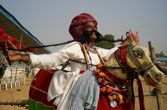 Details of Pushkar Camel Fair, a sensory extravaganza festivals of India, pushkar camel fair 2013, pictures of pushkar fair Rajasthan