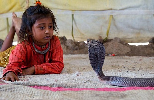 offbeat travel India, top 10 offbeat places in India, snake charming vadi tribe in Gujarat