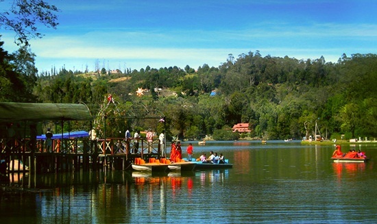 kodaikanal sightseeing, Tamil Nadu tourism, top 10 south indian hill stations