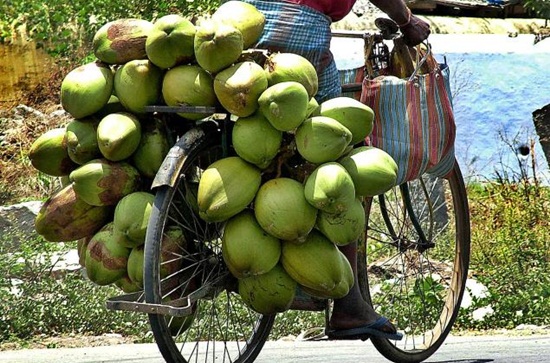 green coconuts on wheels in India, green coconut water on beaches, Indian summer beach holidays 