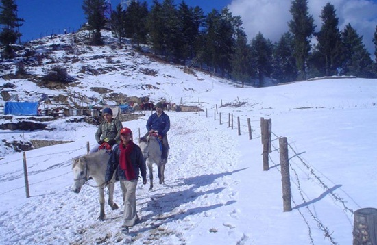 camping in himalayas, hill stations of himachal pradesh, adventure in hiamalayas 