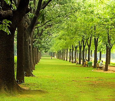 green cities of India, green travel tips, Indian Eagle travel blog, world environment day article 