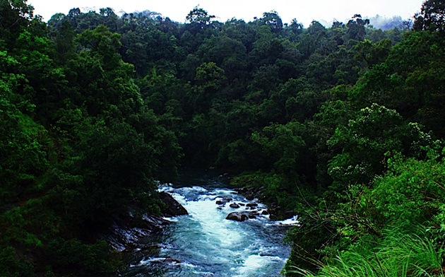 ecotourism in Kerala, sightseeing in Kerala, Kerala silent valley