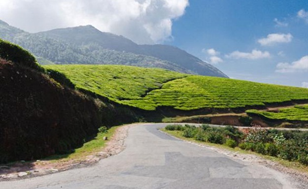 Road trips in India, road trips in South India, coorg to Munnar