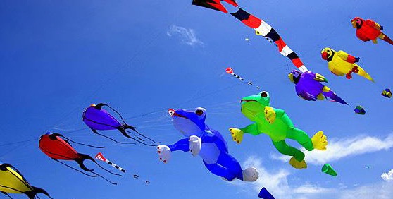 Details of kites flying festival in Gujarat, Festivals of Gujarat