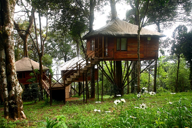 kerala tree houses, tree house cottages, IndianEagle travel, flights to kerala